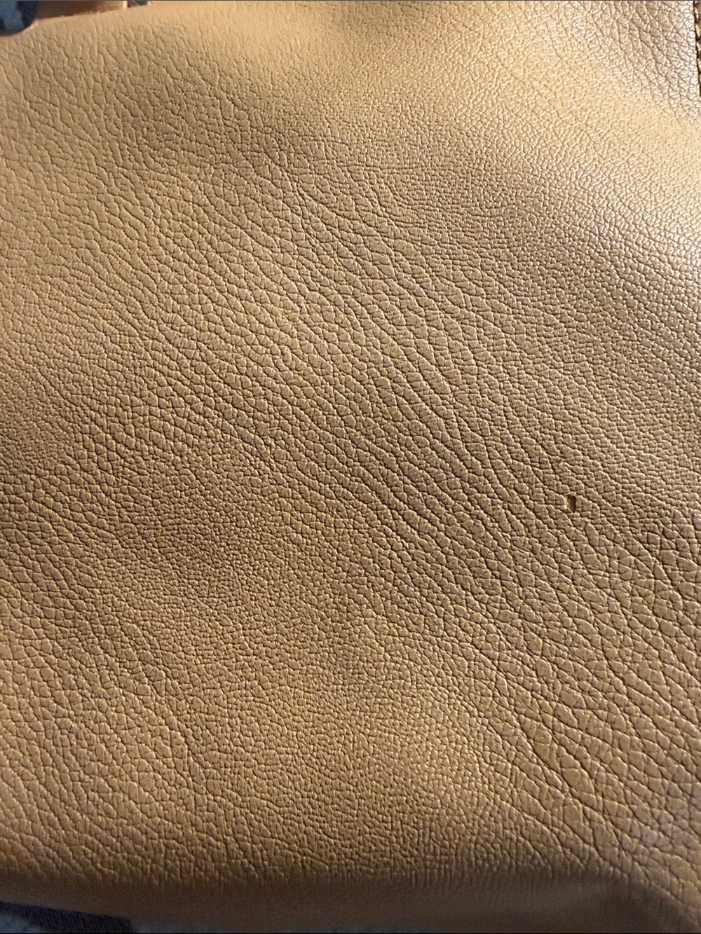 Longchamp Tan Leather Tote with Top Handles - Picture 4 of 8